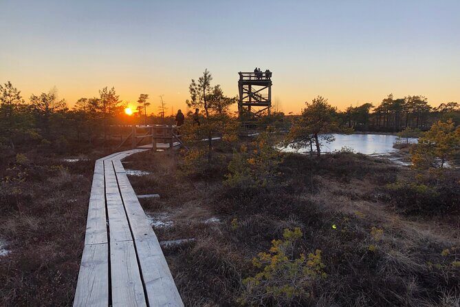 Sunset at Kemeri National Park - Who Is This Tour Best For?