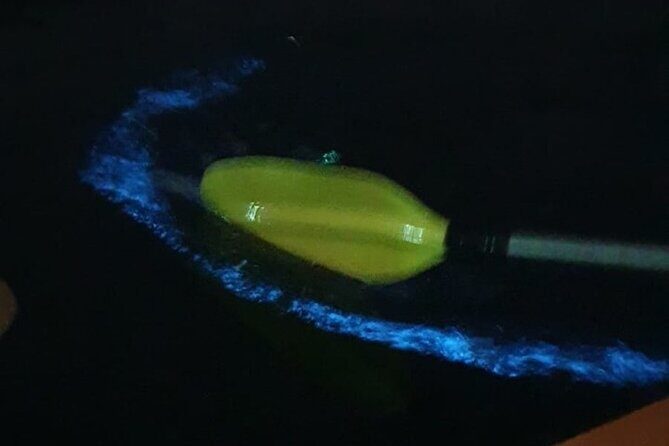 Sunset & Bioluminescent Plankton Kayaking Lan Ha bay - An In-Depth Review of the Experience