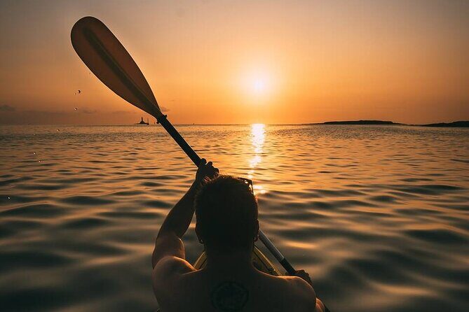 Sunset Boat Cruise in Vancouver - The Experience: What to Expect on the Water