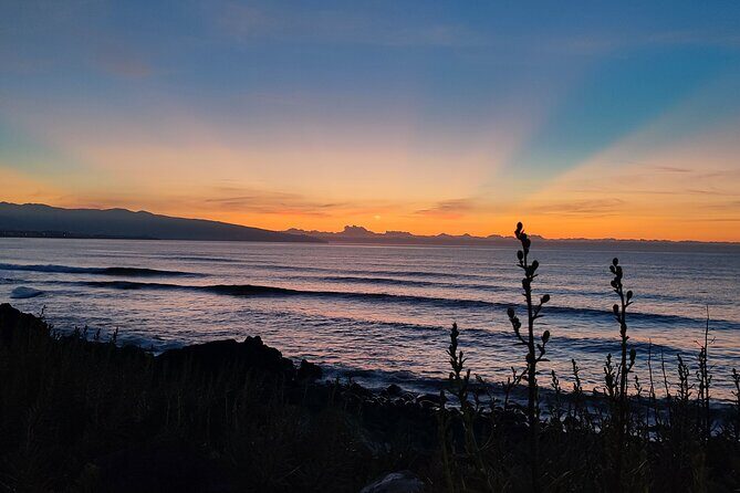 Sunset boat trip in Ponta do Cintrão - Key Points