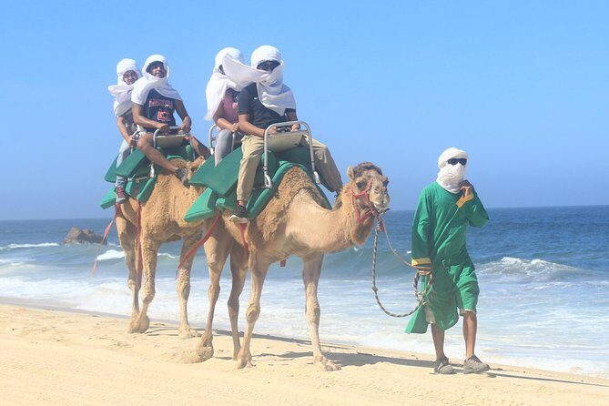 Sunset Camel Ride Tour - An In-Depth Look at the Sunset Camel Ride Tour