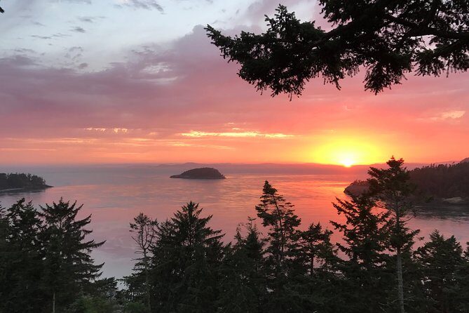 Sunset Canopy Climb on Lopez Island - Key Points