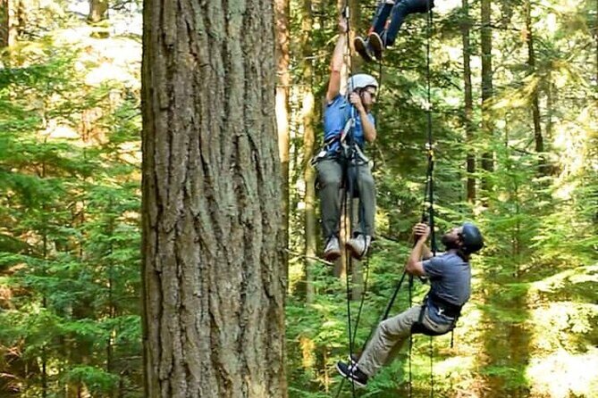 Sunset Canopy Climb on Lopez Island - FAQ