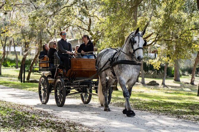 Sunset Carriage Ride and Dinner - An Overview of the Experience