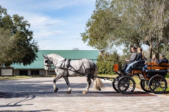 Sunset Carriage Ride and Dinner - The Dining Experience: Black Prong Bar and Grill