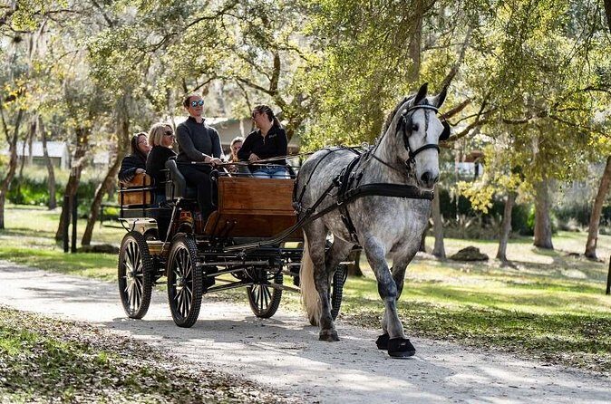 Sunset Carriage Ride and Dinner - FAQs