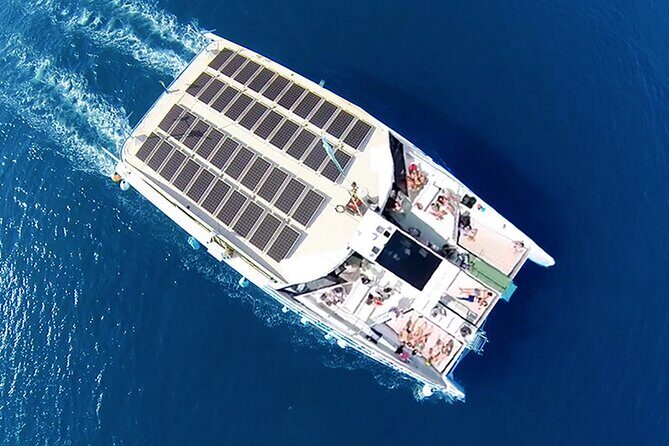 Sunset Catamaran Cruise with Live Music in Barcelona - Authentic Guest Perspectives