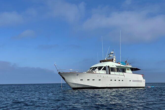 Sunset Cruise Lisbon | VIP Yacht Lisbon Party - The Sum Up