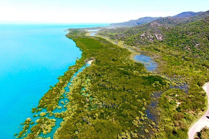 Sunset Cruise on Magnetic Island - Fishing: A Chance for a Big Catch