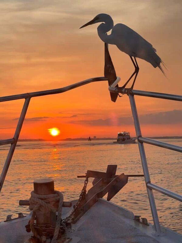 Sunset Cruise Panama City Beach - Who Will Love This Experience?