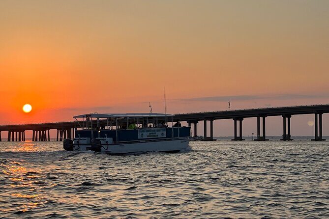 Sunset Dolphin Cruise - What makes this tour stand out?