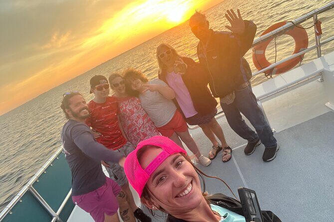 Sunset Dolphin Cruise - What kind of wildlife can you expect?
