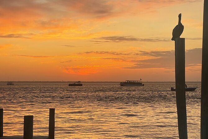 Sunset Dolphin Cruise - Practical details and value