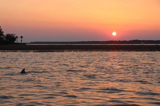 Sunset Dolphin Cruise in Hilton Head - Key Points