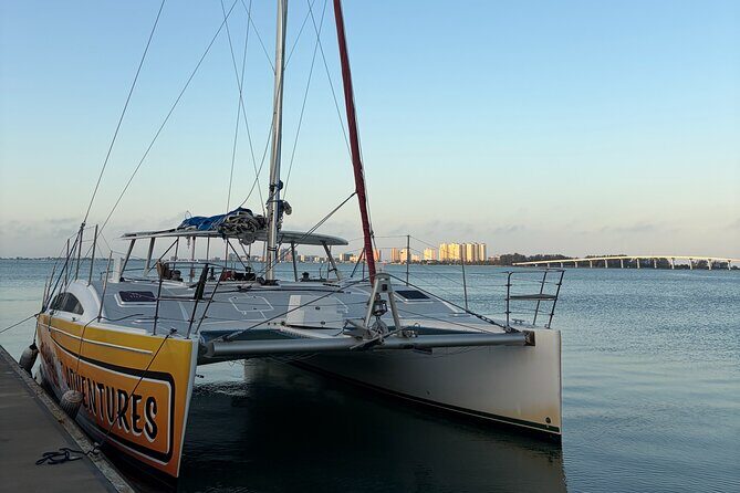 Sunset & Dolphin Sightseeing Sail Aboard the Lazy Daze Catamaran - The Experience in Detail
