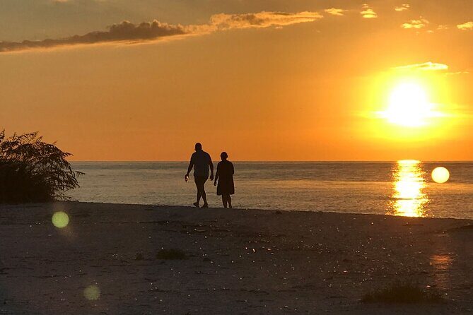 Sunset Eco Tour of Marco Island & 10,000 Islands - A Detailed Look at the Sunset Eco Tour Experience