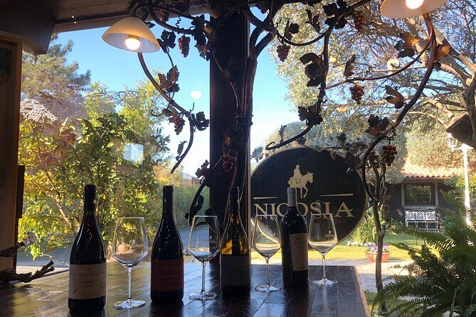 Sunset Etna & Wine Private Experience - Final Thoughts