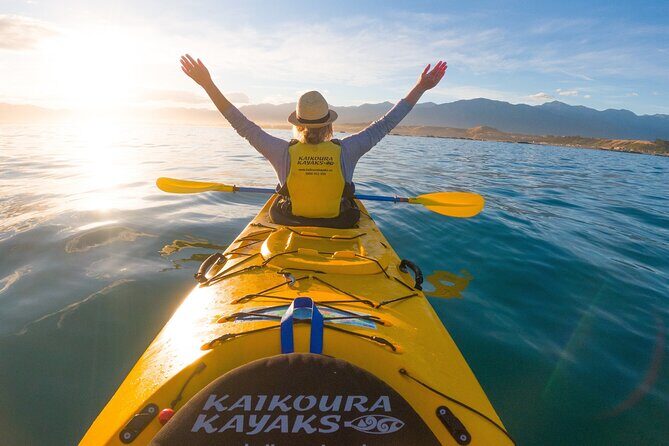Sunset Evening Kayaking Tour - Kaikoura - Who Will Love This Tour?