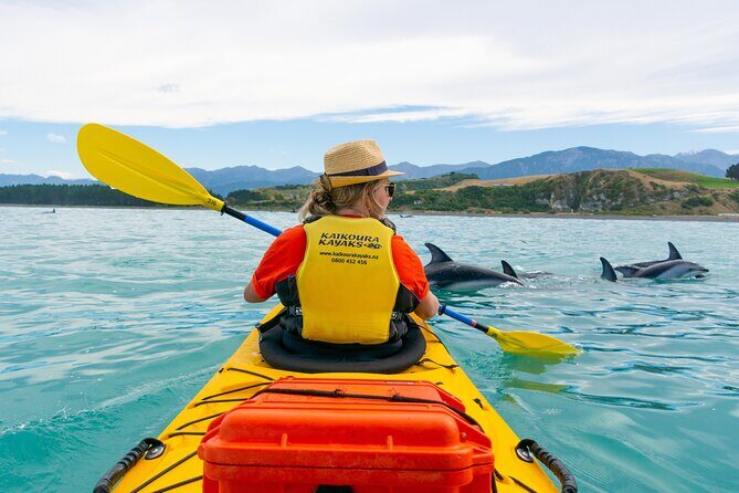 Sunset Evening Kayaking Tour - Kaikoura - FAQs