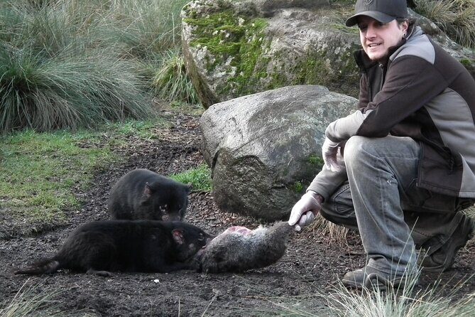 Sunset Experience - Key Points