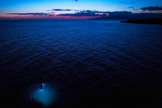 Sunset/Glow Clear Kayak Tour in Olowalu - FAQs
