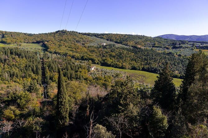 Sunset Hike in Fiesole with Aperitivo - Who Should Book This Tour?