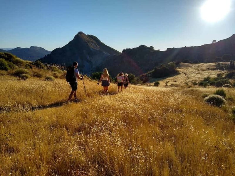 Sunset Hike & Summit Sierra Nevada with pup - Final Thoughts