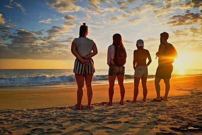 Sunset in the manialtepec lagoon with bioluminescence - Introduction