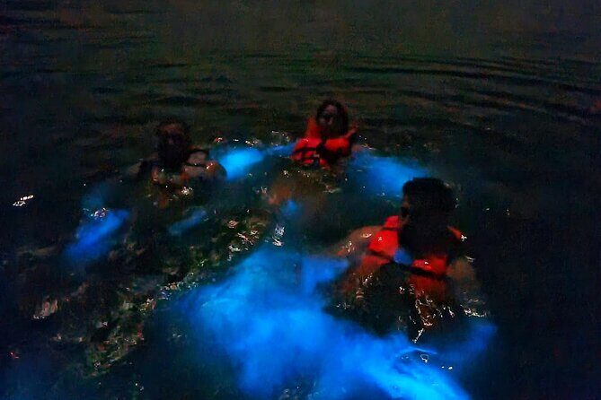 Sunset in the manialtepec lagoon with bioluminescence - Frequently Asked Questions