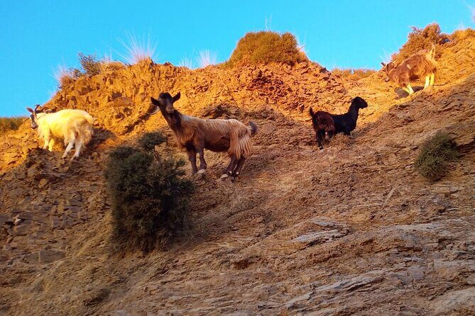 Sunset Jeep Tour in Crete - Final Thoughts