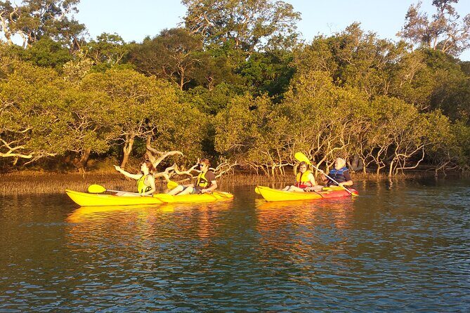 Sunset Kayak Eco Tour with Marine Scientist - FAQ