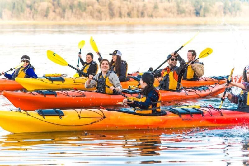 Sunset Kayak Tour: Fort Flagler, WA - Setting the Scene: Fort Flagler and Its Natural Appeal