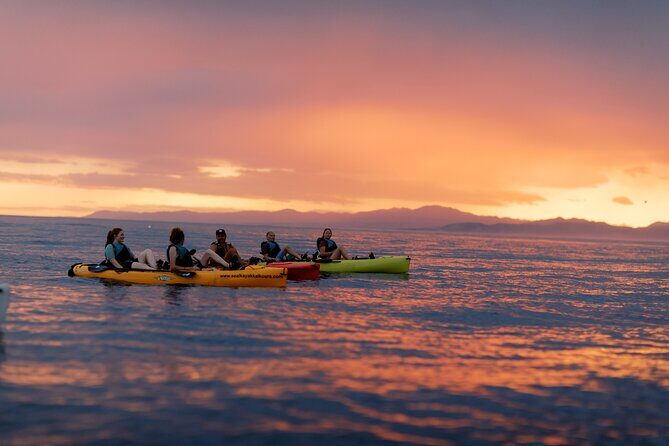 Sunset Kayak tour in Kaikoura - How This Tour Fits Into Your Kaikoura Visit