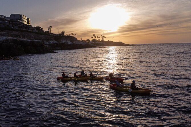 Sunset Kayak Tour of La Jolla Caves - Who Will Love This Tour?