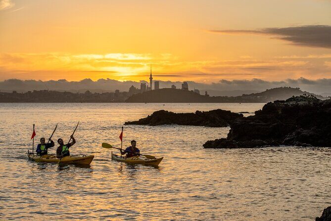 Sunset kayak tour to Rangitoto Island - Diving Into the Experience: What You Can Expect