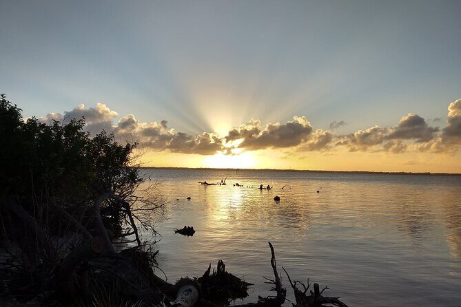 Sunset kayaking tour at Manatee Cove with Manatee & Dolphin sightings - Key Points