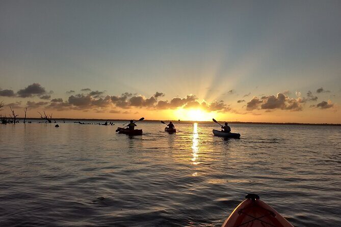 Sunset kayaking tour at Manatee Cove with Manatee & Dolphin sightings - An Honest Breakdown of the Experience