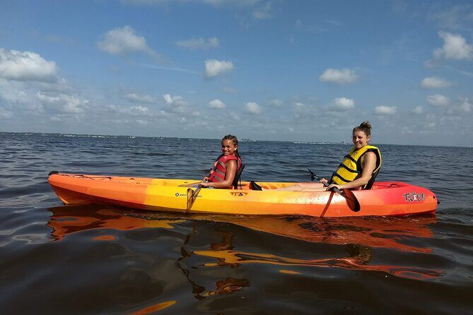 Sunset kayaking tour at Manatee Cove with Manatee & Dolphin sightings - The Reviews Speak Volumes