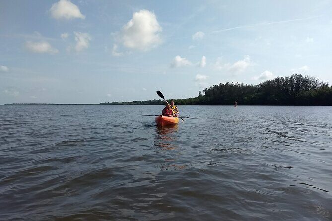 Sunset kayaking tour at Manatee Cove with Manatee & Dolphin sightings - Final Word