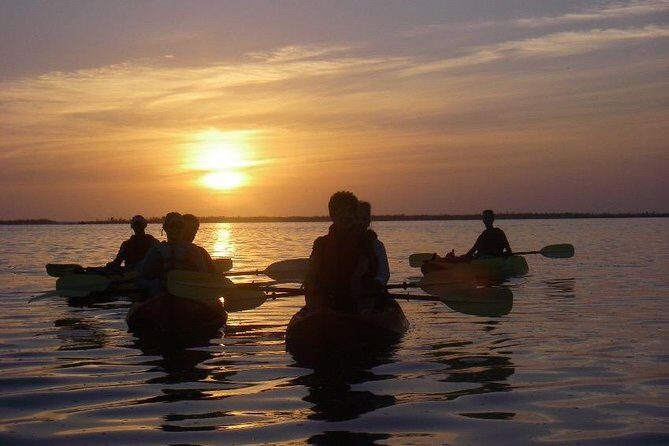 Sunset Kayaking - Wildlife Refuge (Titusville) - An In-Depth Look at the Tour Experience