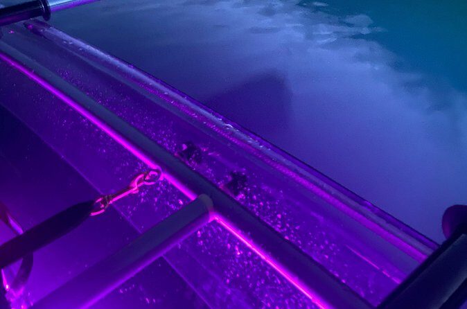 Sunset LED Clear Kayak Rentals for Glacier Park - Authentic Feedback from Participants