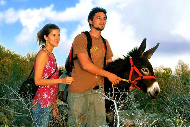 Sunset Pacific Donkey Hiking Tour - FAQs