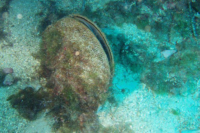 Sunset panorama & swimming with a fishes - Who Is This Tour Best For?