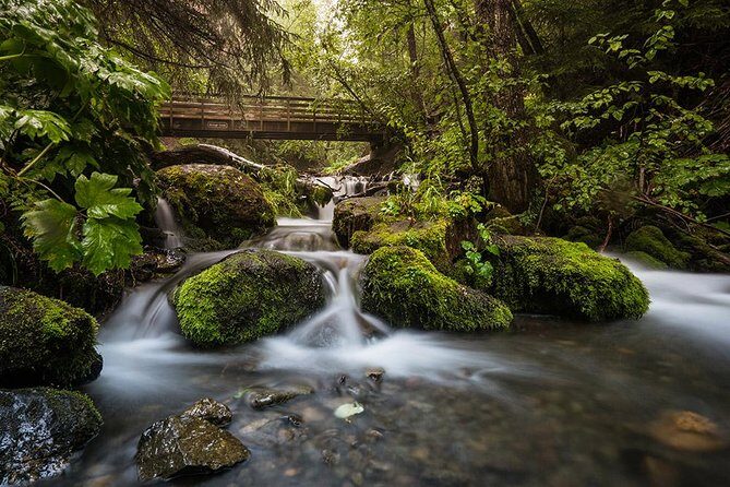 Sunset Photo Safari - A Closer Look at the Sunset Photo Safari