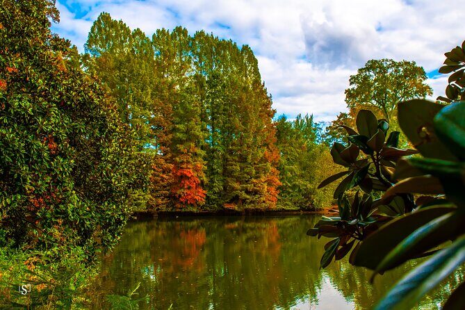 Sunset Photography Tour of Piedmont Park Atlanta - An In-Depth Look at the Piedmont Park Sunset Photography Tour