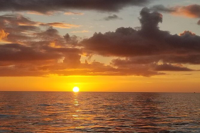 Sunset Private Boat Trip in Naples FL with Secluded Island Stop with your Dog - What Makes This Tour Stand Out?