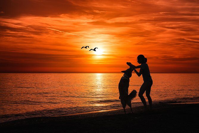 Sunset Private Boat Trip in Naples FL with Secluded Island Stop with your Dog - Final Thoughts: Who Will Love This Experience?