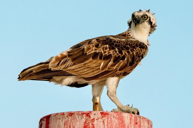 Sunset River Cruise near Byron Bay - Who Would Love This Tour?