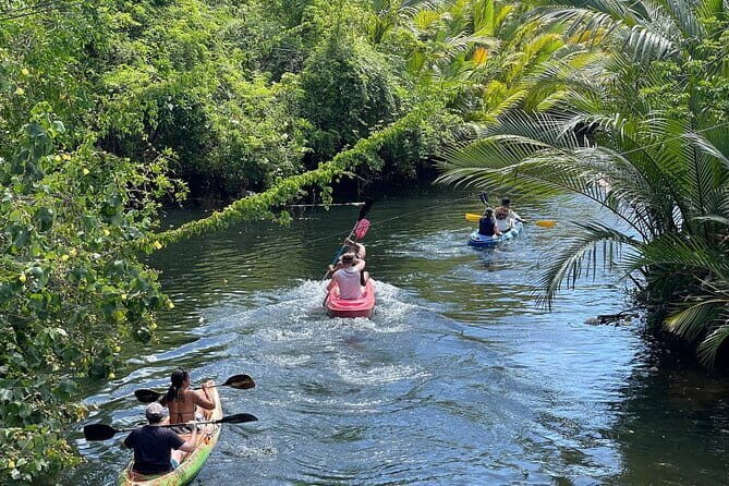 Sunset Scenic Kayaking and Swimming Activity - Key Points
