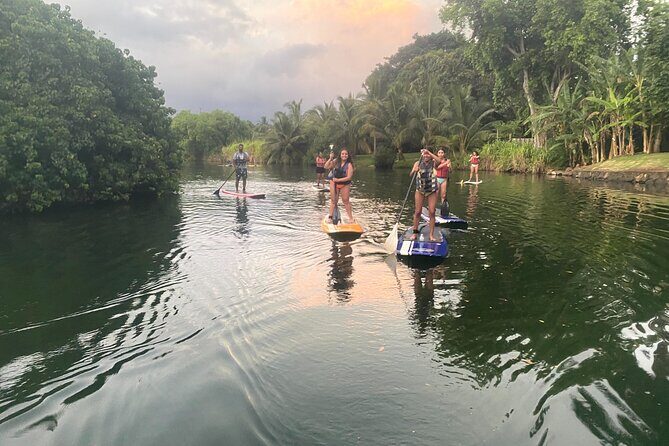 Sunset Stand Up Paddle with Photos and Turtles - FAQs